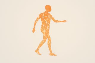 Individual shards connecting into larger organizational patterns, forming what resembles a human outline.